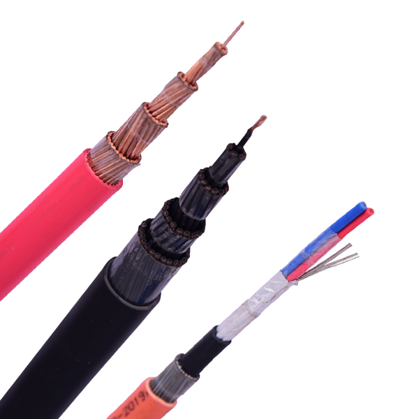 Power & Control Cables